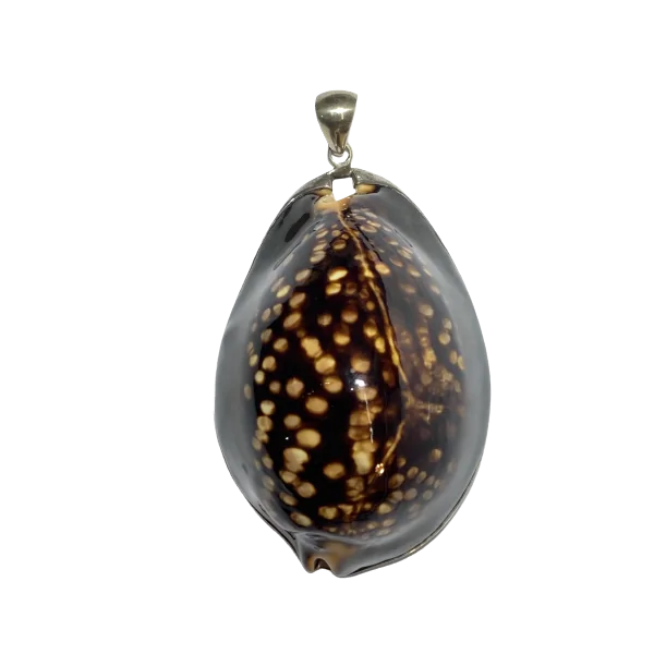 Pendentif Coquillage -1 | Pendentifs en Minéraux | Dans les yeux de Gaïa