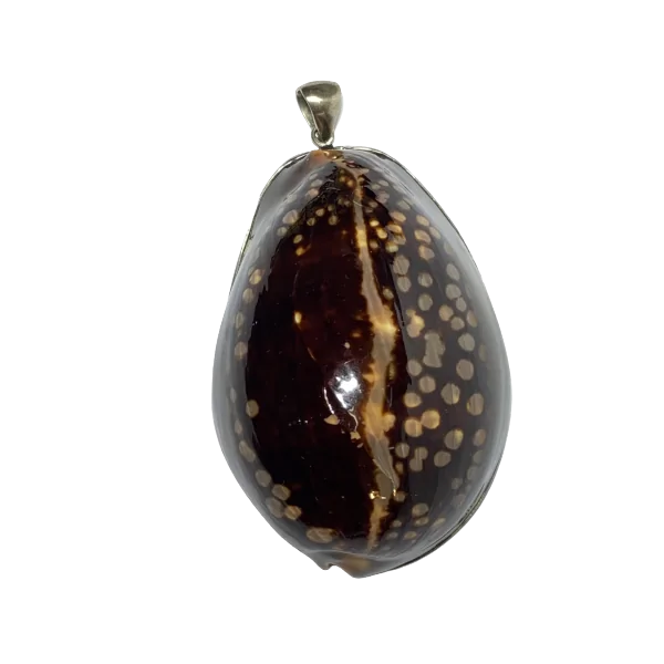 Pendentif Coquillage - Photo 1 | Dans les Yeux de Gaia