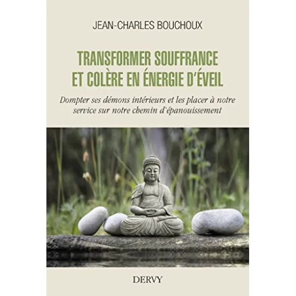 Transformer Souffrance et Colère en Énergie d'Éveil | Dans les yeux de Gaïa
