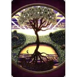 Magie de la Terre - Coffret...
