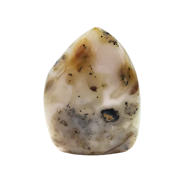 Agate Dendritique (ou Merlinite) | Formes Libres en Minéraux