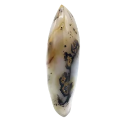 Agate Dendritique (ou...