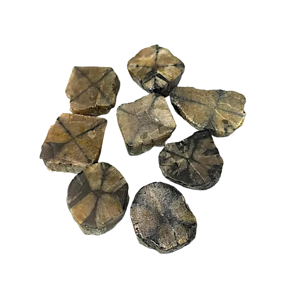 Chiastolite semi-brute | Dans les Yeux de Gaïa