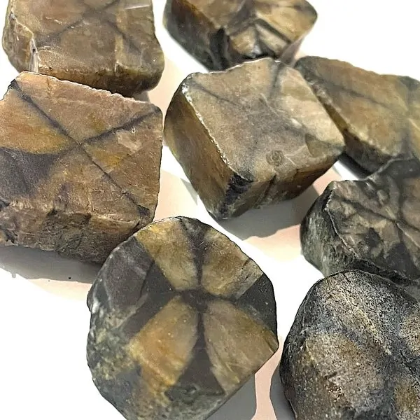 Chiastolite semi-brute | Dans les Yeux de Gaïa