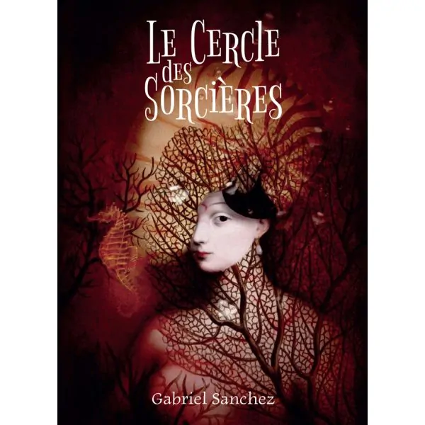 Coffret Le cercle des Sorcières - Gabriel Sanchez | Dans les Yeux de Gaïa