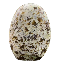 Forme Libre en Jaspe Opale de Madagascar 1 - Lithothérapie |Dans les Yeux de Gaïa