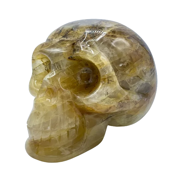 Crâne en Quartz Hématoïde - côté gauche | Dans les Yeux de Gaïa