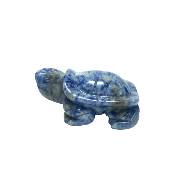 Tortue en Sodalite - Dans les Yeux de Gaïa