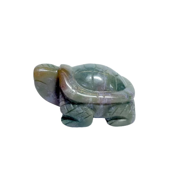 Tortue en Jaspe 1 | Dans Les Yeux De Gaia|