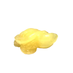 Tortue en Calcite Orange