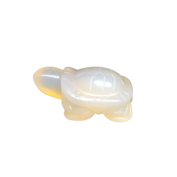 Tortue en Agate - Dans les Yeux de Gaïa