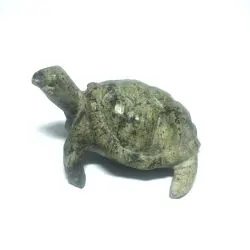Tortue en Serpentine du...