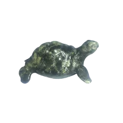 Tortue en Serpentine du...