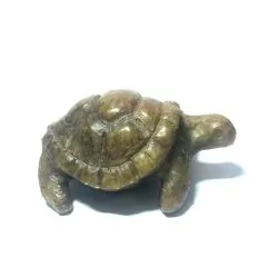 Tortue en Serpentine du...