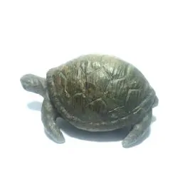 Tortue en Serpentine du...