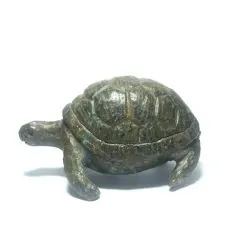 Tortue en Serpentine du...