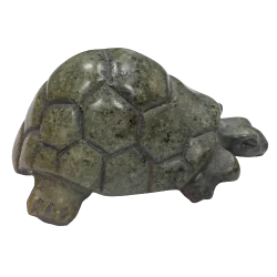 Tortue en Serpentine du...