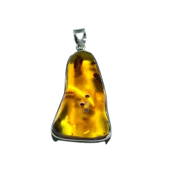Pendentif en Ambre de mer...