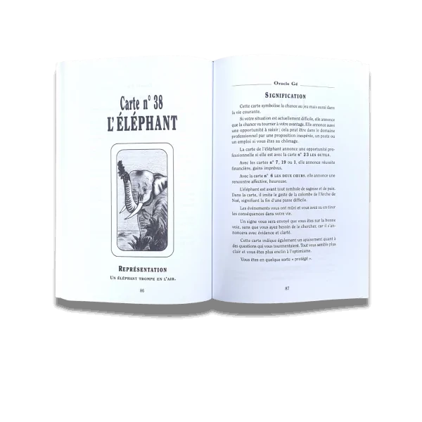 Le grand livre de l'Oracle Gé - Face page | Dans les yeux de Gaïa