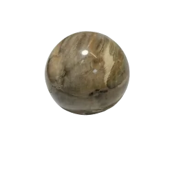 Sphère en Bois Fossile | Dans les Yeux de Gaïa 1