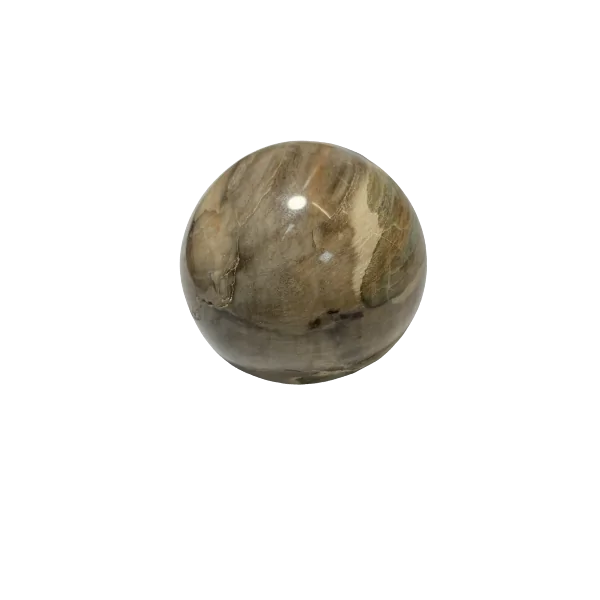 Sphère en Bois Fossile | Dans les Yeux de Gaïa 1