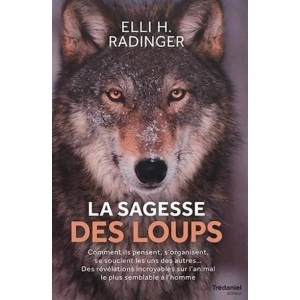 La Sagesse des Loups | Dans les Yeux de Gaïa 1