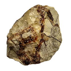 Pierre Roulée Septaria Brute 1 - Lithothérapie |Dans les Yeux de Gaïa