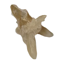 Calcite brute 1 | Dans les yeux de Gaïa