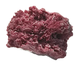 Rhodonite brute de collection