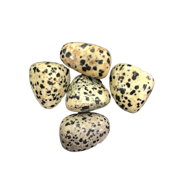 Pierre roulée Jaspe Dalmatien - Lithothérapie |Dans les Yeux de Gaïa