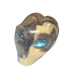 Crâne Alien en Septaria  - face| Dans les yeux de Gaïa