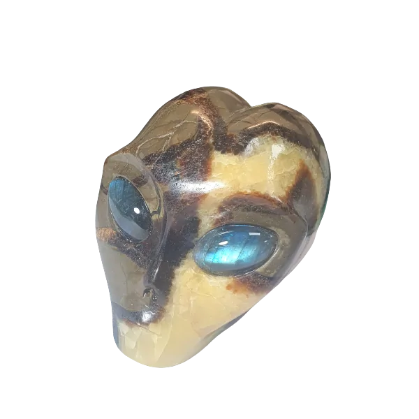 Crâne Alien en Septaria  - face| Dans les yeux de Gaïa