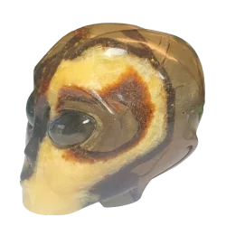 Crâne Alien en Septaria CA71