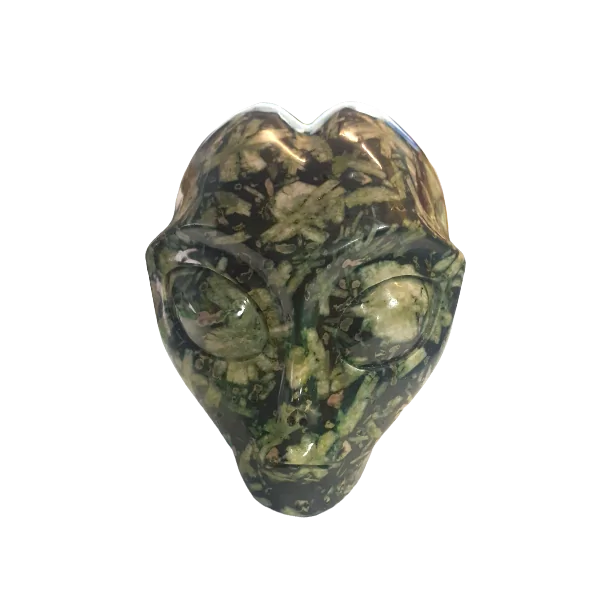 Crâne alien en Jaspe Pivoine | Dans les Yeux de Gaïa 1