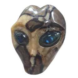 Crâne Alien en Septaria -  face| Dans les yeux de Gaïa