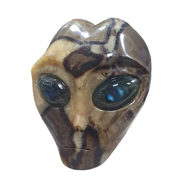 Crâne Alien en Septaria -  face| Dans les yeux de Gaïa
