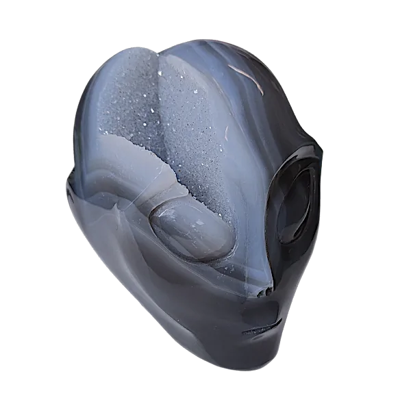 crane d'alien en agate 3 | dans les yeux de Gaïa