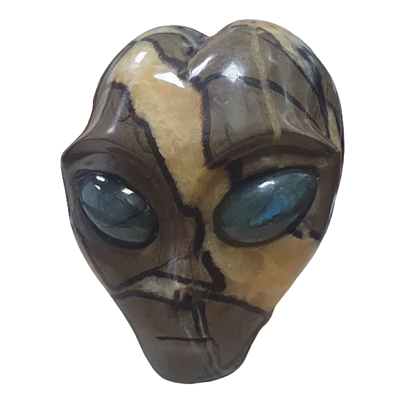 Crâne Alien en Septaria - face | Dans les yeux de Gaïa
