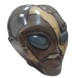 Crâne Alien en Septaria CA74