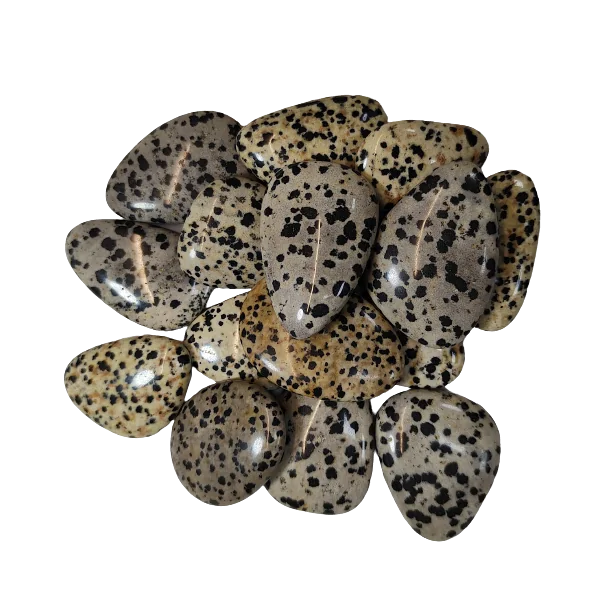 jaspe dalmatien 1 | Dans les Yeux de Gaïa