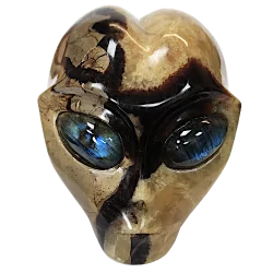 crâne alien septaria face | Dans les yeux de Gaïa