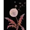 Tarot Botanica - 4| Dans les Yeux de Gaïa