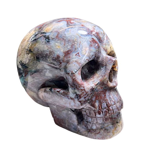 Crâne en agate droite | dans les yeux de Gaïa