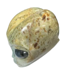 Crâne d'Alien en Amazonite