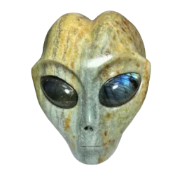 Crâne d'Alien en Amazonite | Dans les Yeux de Gaïa