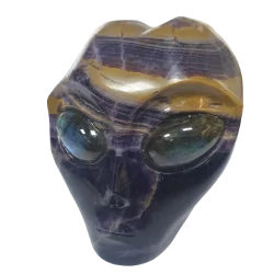 Crâne Alien en Améthyste - face| Dans les yeux de Gaïa