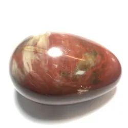 Oeuf en Bois Fossile OBF3