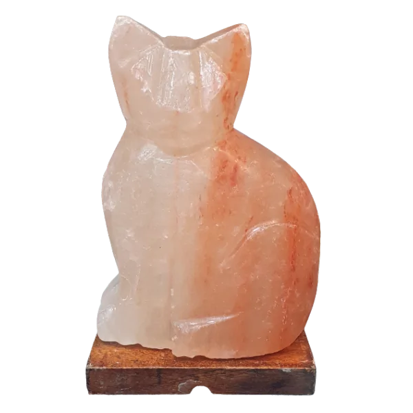 Lampe en Cristal de Sel en forme de Chat - face| Dans les yeux de Gaïa