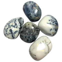 Pierre roulée Agate Dendritique grand modèle | Dans les yeux de Gaïa
