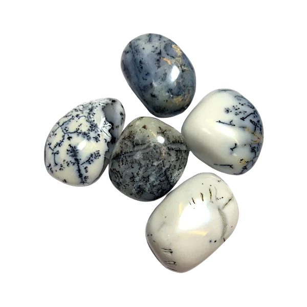 Pierre roulée Agate Dendritique grand modèle | Dans les yeux de Gaïa